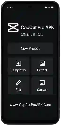 CapCut Pro APK
