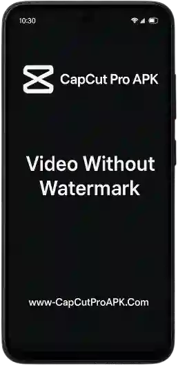Video Without Watermark